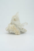Clear Quartz Cluster
