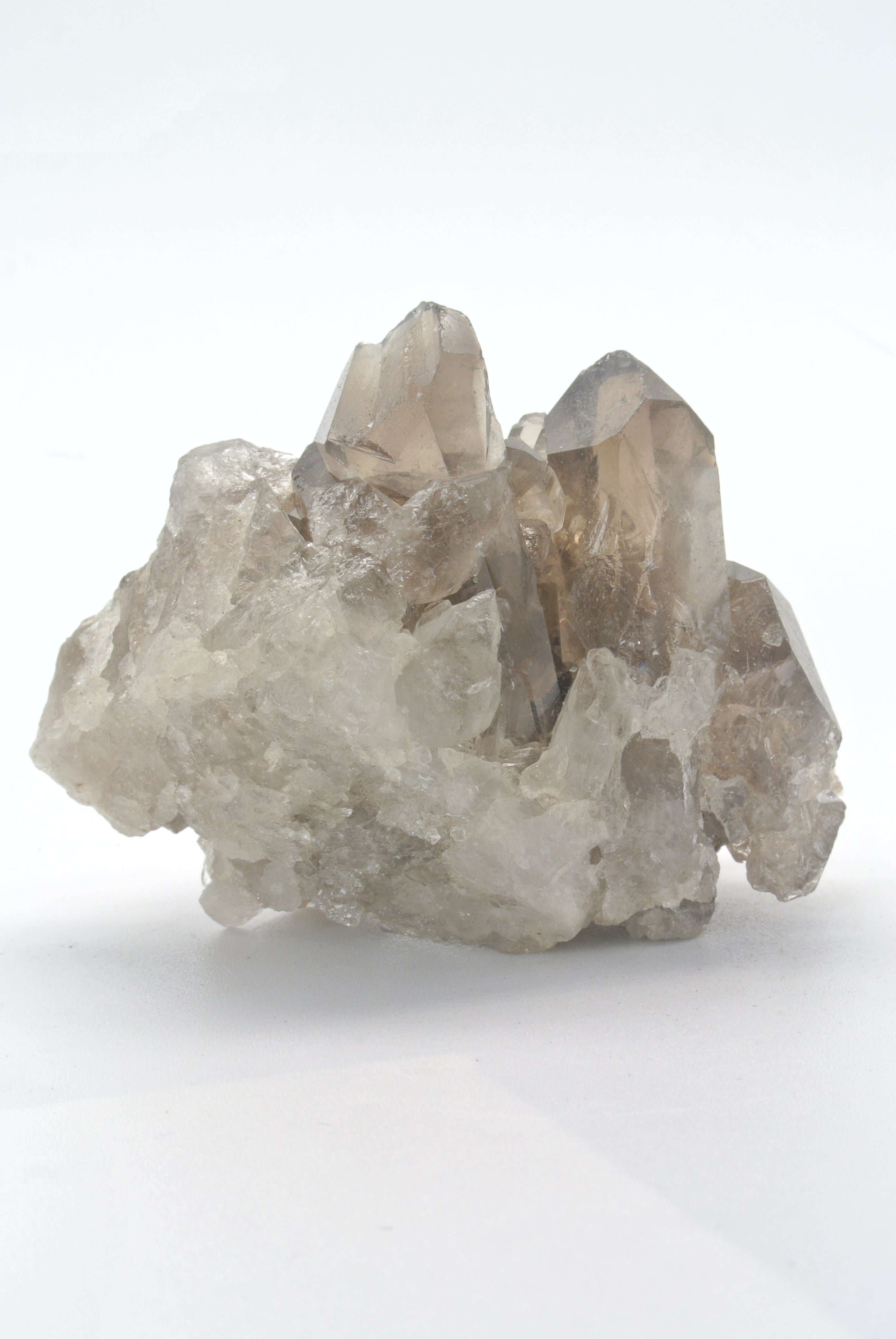 Smoky Quartz Cluster